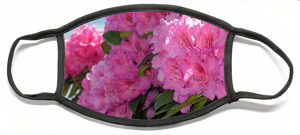 Rhododendrons Face Mask featuring the photograph Rhododendrons by Carol Eliassen