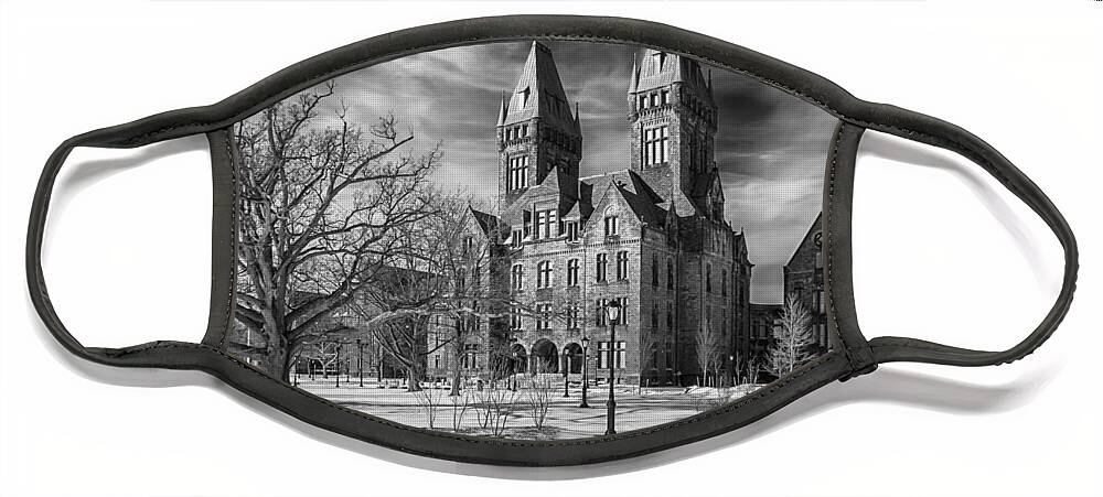 Buffalo Face Mask featuring the photograph Richardson Complex 3D21965b by Guy Whiteley