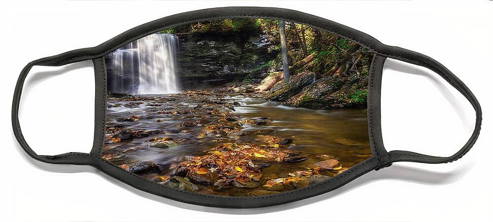 Ricketts Glen Waterfall Face Mask featuring the photograph Ricketts Glen Waterfall by Mark Papke