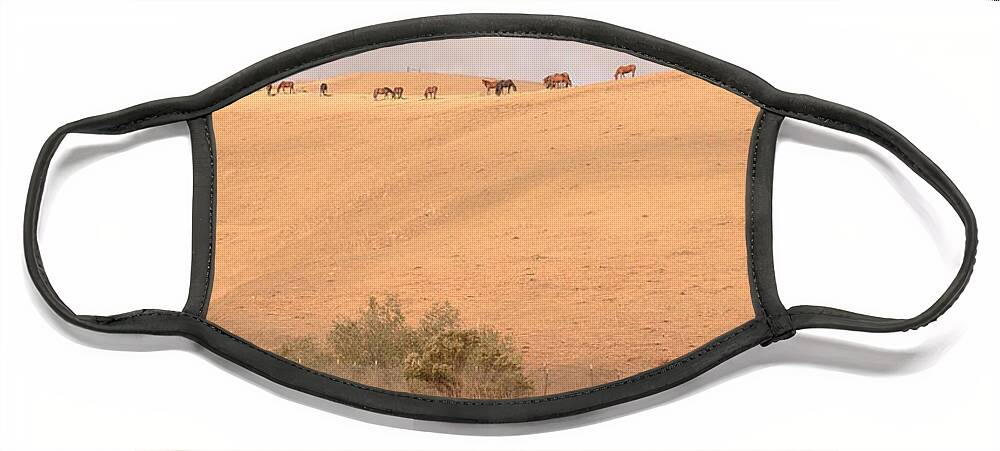 Rtf Ranch Face Mask featuring the photograph Ridgeline Vertical #1 by Heather Kirk