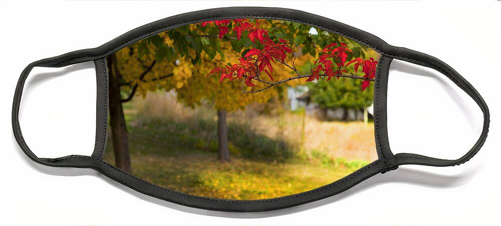 Autumn Face Mask featuring the photograph Riverbend Orchard by Theresa Tahara