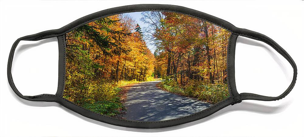 Road Face Mask featuring the photograph Road through fall forest by Elena Elisseeva