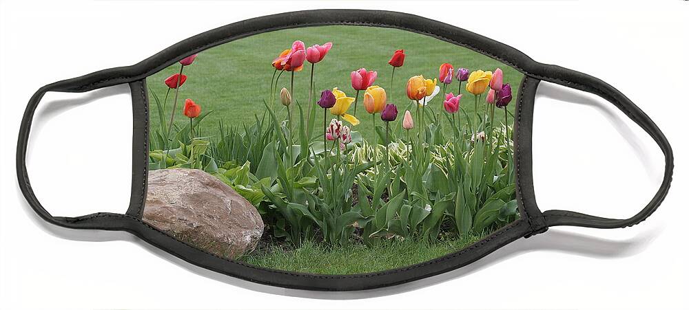 Tulips Face Mask featuring the photograph Tulip and Hosta Garden by Valerie Collins