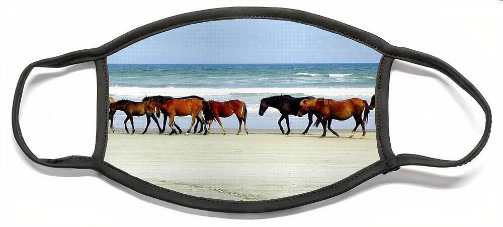 Wild Spanish Mustang Face Mask featuring the photograph Roaming Wild and Free by Kim Galluzzo