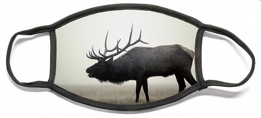 Animal Face Mask featuring the photograph Rocky Mountain Elk Bugling by Phil A. Dotson