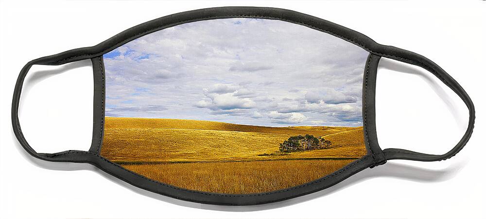 Landscape Photography Face Mask featuring the photograph Rolling Prairie by Theresa Tahara