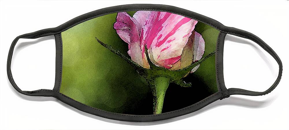 Floral Face Mask featuring the digital art Candy Cane Rose Bud by Kirt Tisdale