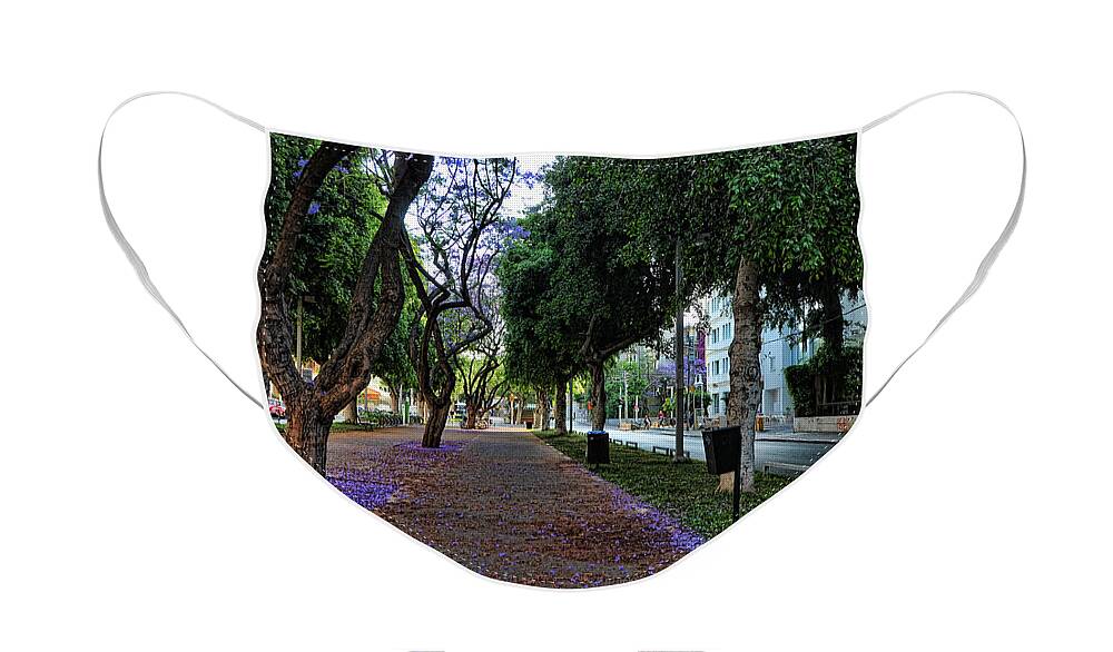 Foliage Face Mask featuring the photograph Rothschild boulevard by Ron Shoshani