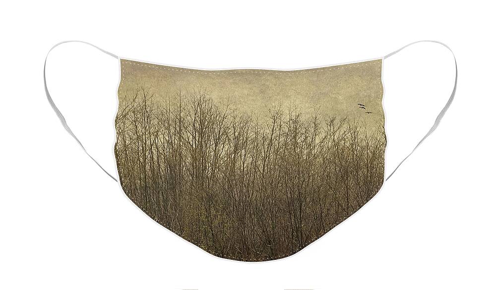 Maine Face Mask featuring the photograph Rural Mailbox by Karin Pinkham