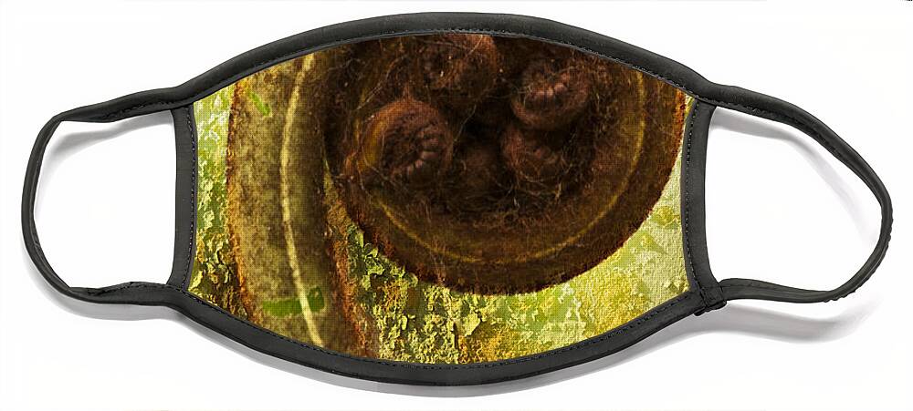 Plant Face Mask featuring the photograph Rust and Fern by Heiko Koehrer-Wagner