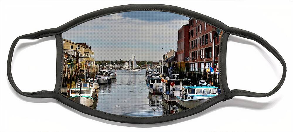 Maine Face Mask featuring the photograph Sail by Karin Pinkham