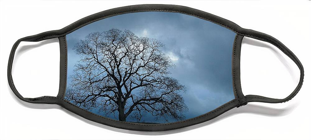 Tree Face Mask featuring the photograph Same Tree Many Skies 14 by Robert Woodward