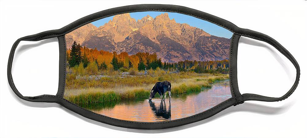 Grand Teton National Park Face Mask featuring the photograph Schwabacher Morning Light by Greg Norrell