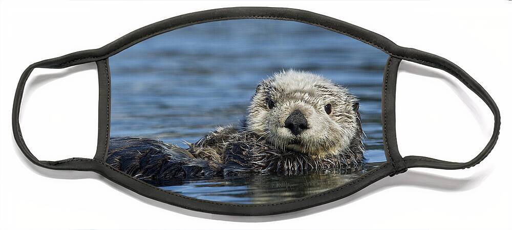 Michael Quinton Face Mask featuring the photograph Sea Otter Alaska by Michael Quinton