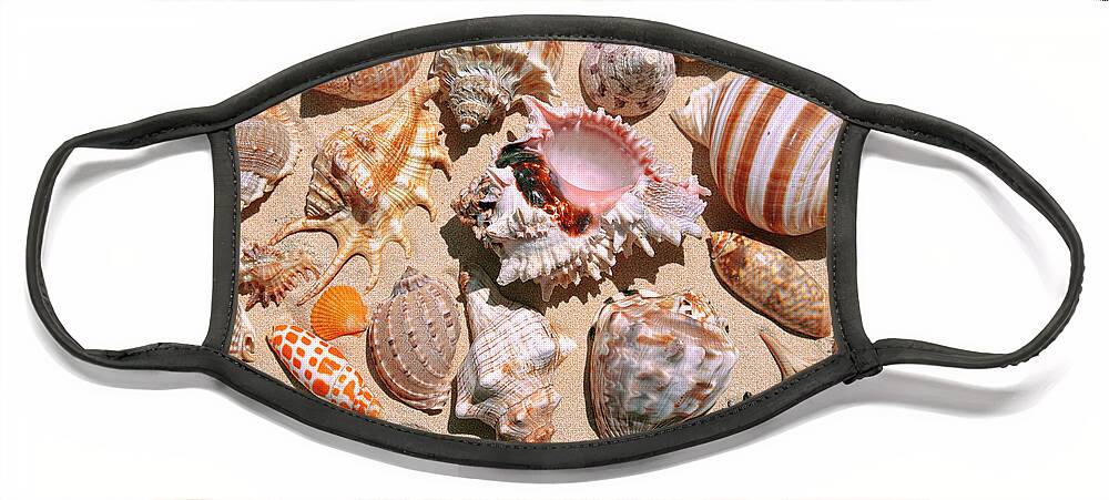 Sea Shell Face Mask featuring the photograph Seashells on Lanikai Beach by Aloha Art