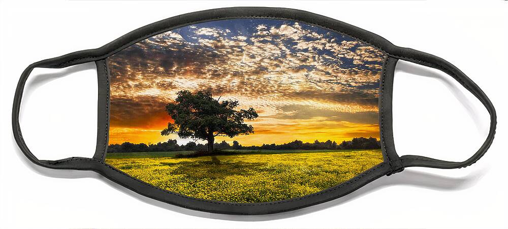 Barns Face Mask featuring the photograph Shadows At Sunset by Debra and Dave Vanderlaan