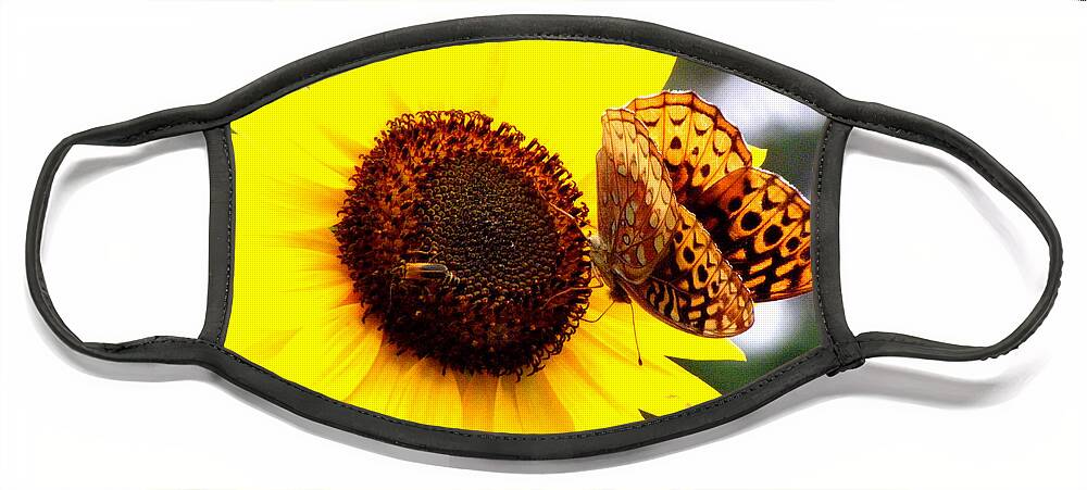 Flower Face Mask featuring the photograph Sharing the Sunflower by Kim Galluzzo