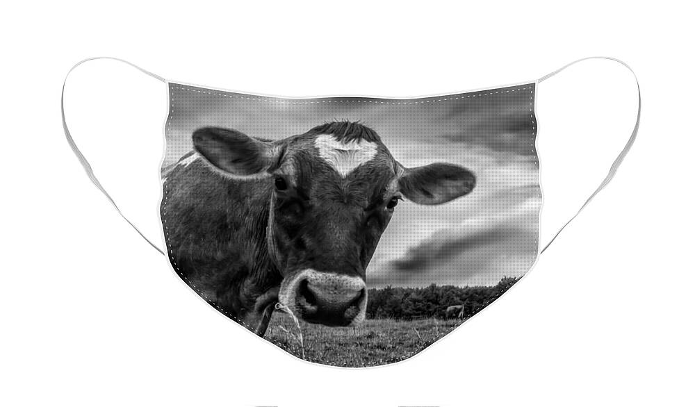 Cows Face Mask featuring the photograph She wears her heart for all to see by Bob Orsillo