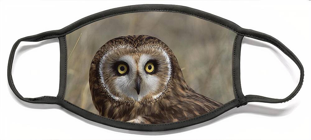 Feb0514 Face Mask featuring the photograph Short-eared Owl Portrait North America by Konrad Wothe