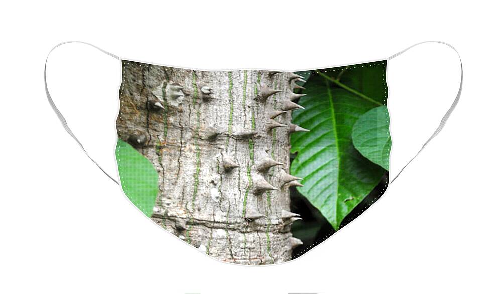 Arbol Face Mask featuring the photograph Symbiosis by George D Gordon III