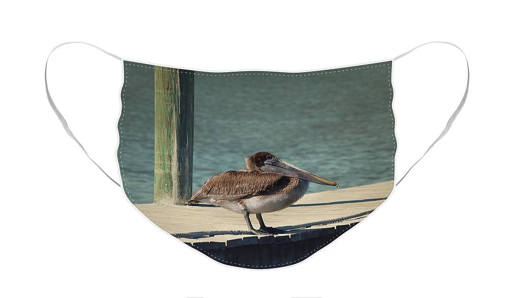 Pelican Face Mask featuring the photograph Sitting on the Dock of the Bay by Kim Hojnacki
