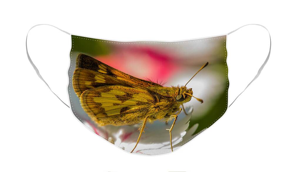 Nature Face Mask featuring the photograph Skipper by Robert Mitchell