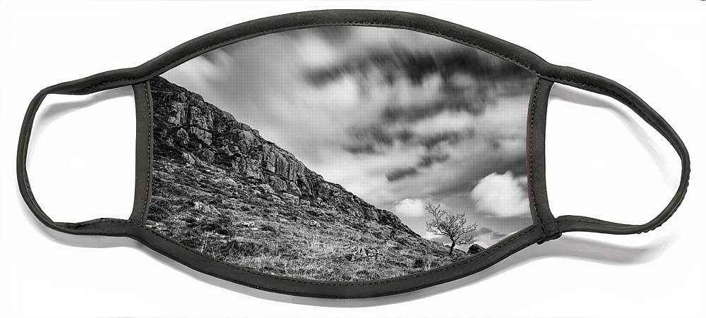 Slemish Face Mask featuring the photograph Slemish Tree by Nigel R Bell