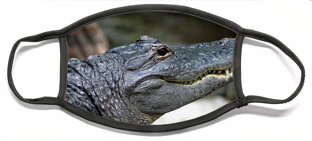 Alligator Face Mask featuring the photograph Smiling Alligator by Valerie Collins