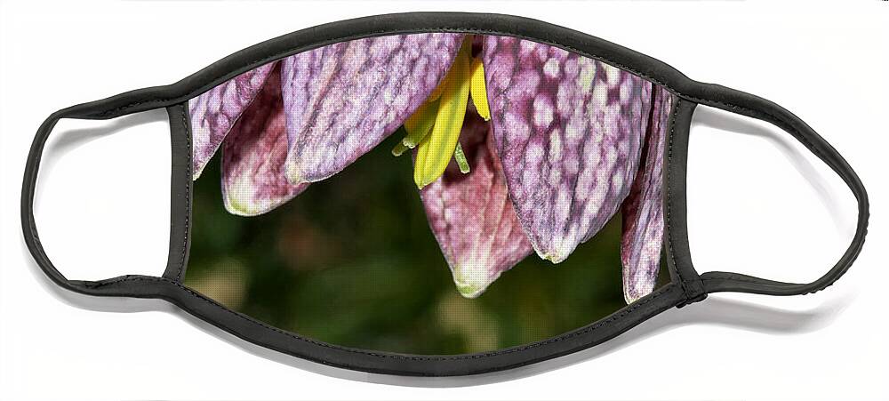 Snakes Head Fritillary Face Mask featuring the photograph Snake's Head Fritillary by Martyn Arnold