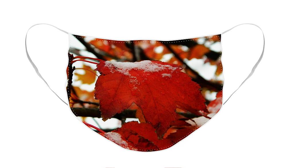 Winter Face Mask featuring the photograph Snow falls by Andrea Anderegg