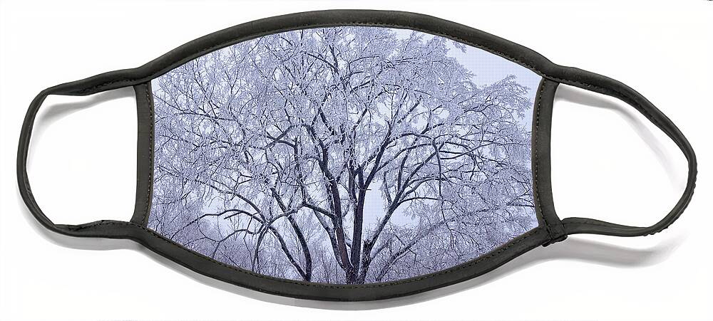 Snow Scape Face Mask featuring the photograph Snow Frosting by Kristin Hatt