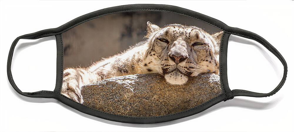 Animal Face Mask featuring the photograph Snow Leopard Relaxing by John Wadleigh