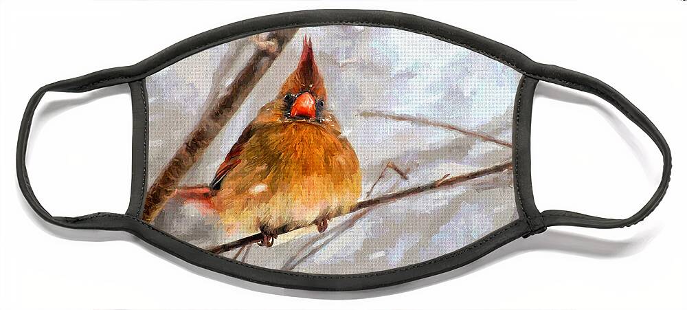 Bird Face Mask featuring the digital art Snow Surprise - Painterly by Lois Bryan