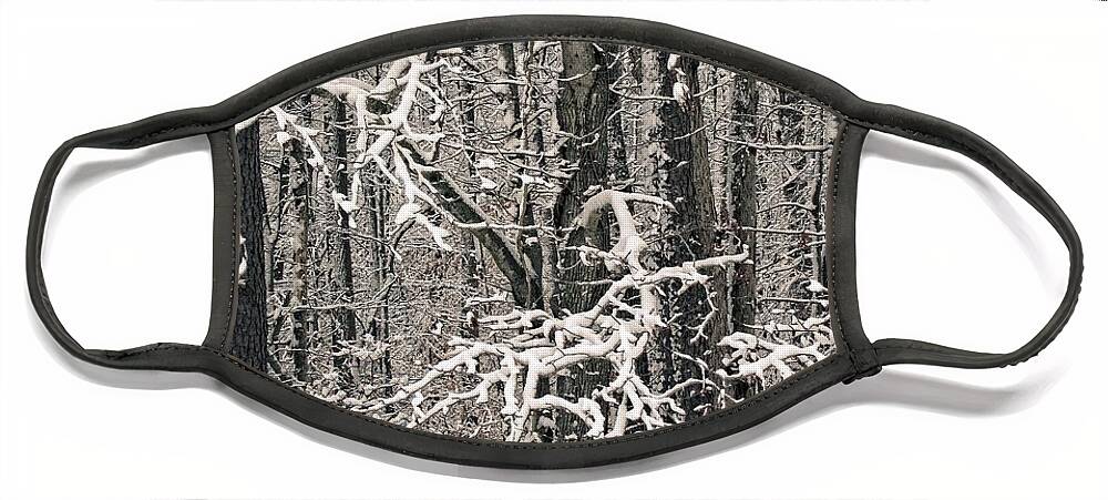Landscape Face Mask featuring the photograph Snowy Woods by Carol Whaley Addassi