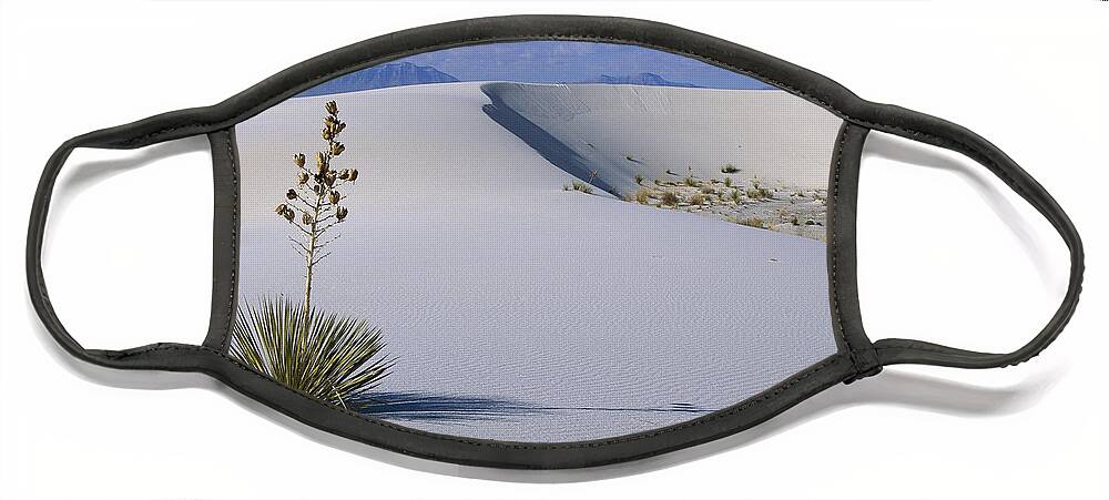 00198313 Face Mask featuring the photograph Soaptree Yucca at White Sands NM by Konrad Wothe