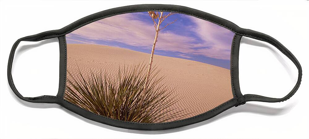 00341457 Face Mask featuring the photograph Soaptree Yucca On Dune by Yva Momatiuk and John Eastcott