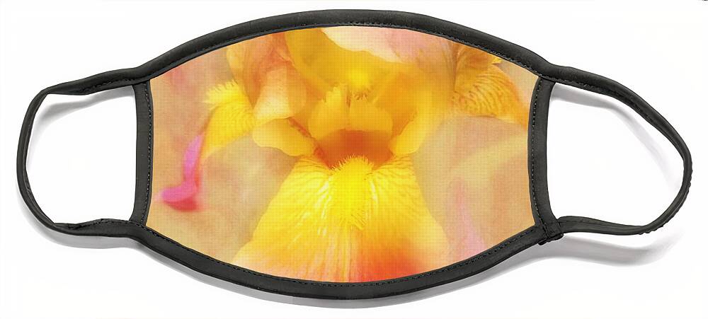 Beautiful Iris Face Mask featuring the photograph Soft Pink and Yellow Iris by Peggy Franz