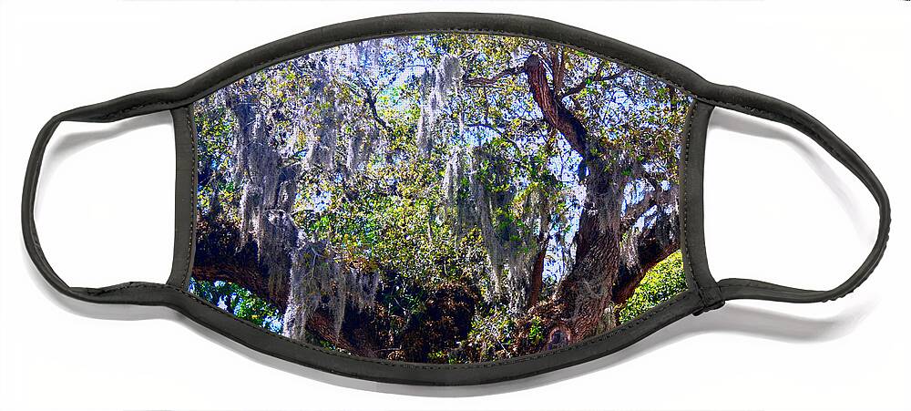 South Face Mask featuring the photograph Southern Charm by Joseph Desiderio