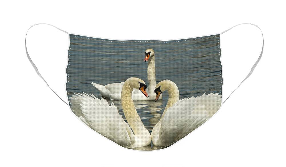 Swan Face Mask featuring the photograph Special Kinda Love by Andrea Kollo