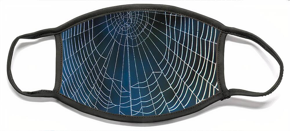 Spiderweb Face Mask featuring the photograph Spider's Net by Heiko Koehrer-Wagner