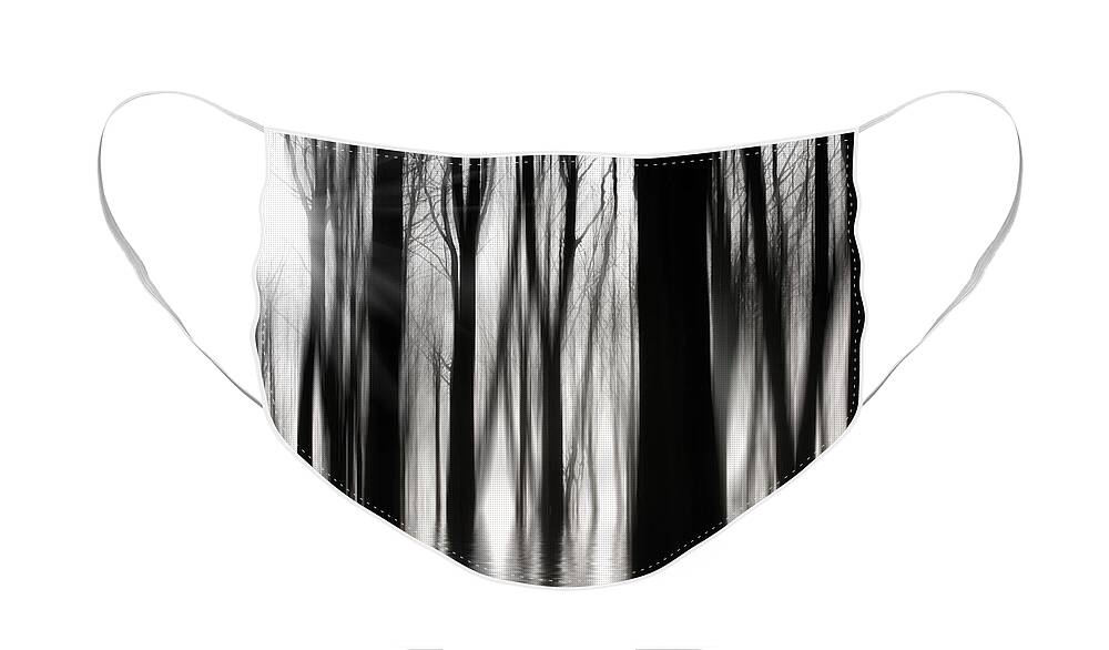 Woods Face Mask featuring the photograph Spooky woods by Simon Bratt