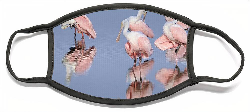 Roseate Spoonbills Face Mask featuring the photograph Spoonbills Preening by Bradford Martin
