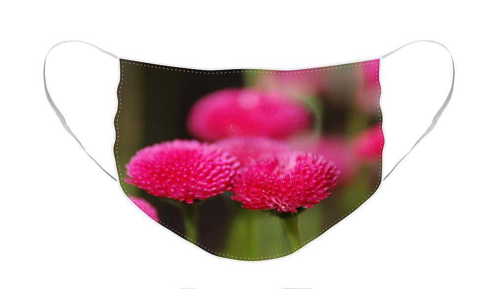 Flowers Face Mask featuring the photograph Spring Flowers by Ron Roberts