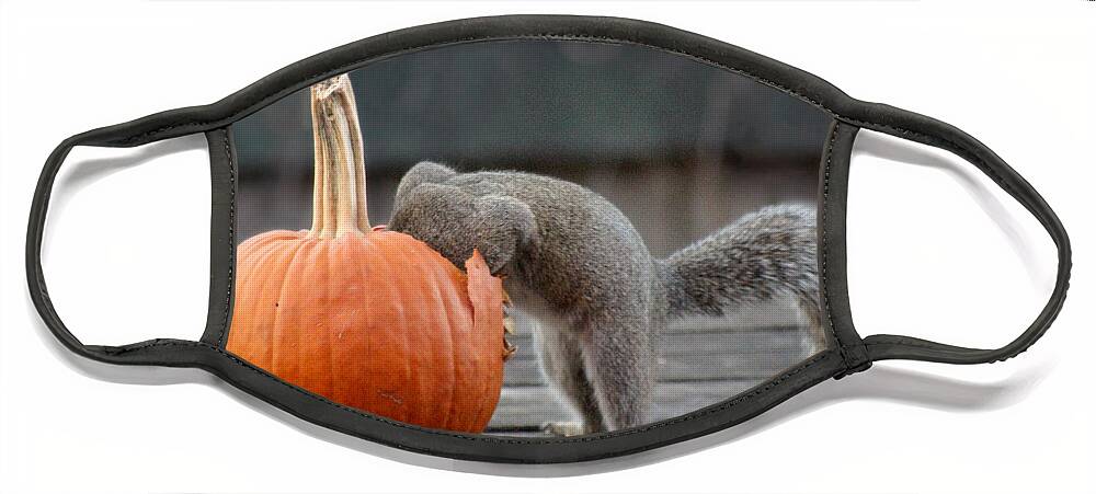 Squirrel Face Mask featuring the photograph Squirrel Dining In by Adam Long