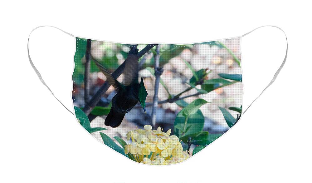 St. Lucia Face Mask featuring the photograph St. Lucian Hummingbird by Laurel Best
