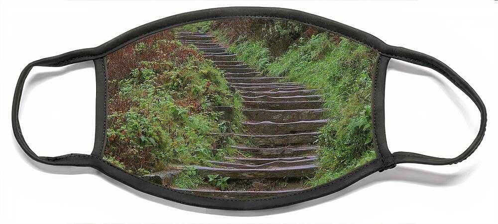 Stairway Face Mask featuring the photograph Stairway To Heaven by Derek Dean