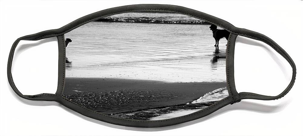 Dog Face Mask featuring the photograph Standoff At The Beach by Aidan Moran