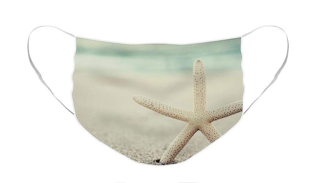 Starfish On Beach Vintage Seaside New Jersey Face Mask featuring the photograph Starfish on Beach Vintage Seaside New Jersey by Terry DeLuco