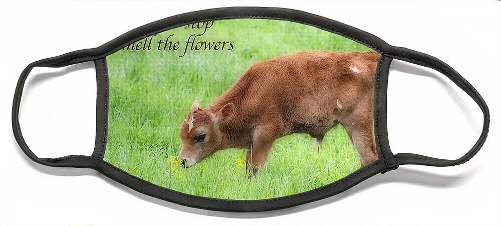 Animals Face Mask featuring the photograph Stop and Smell the Flowers by Patty Colabuono