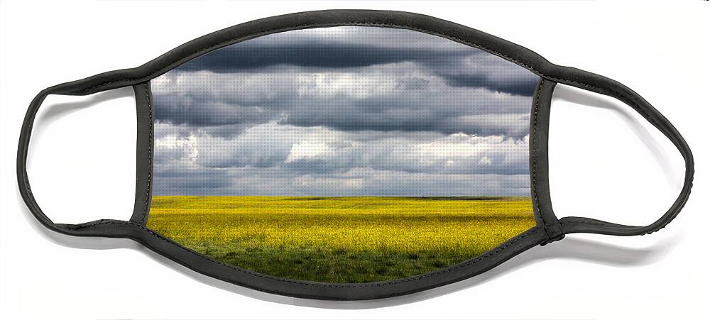 Plains Face Mask featuring the photograph Stormy Plains by Shane Bechler